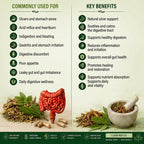 UKM Organics Ulcers / Izilonda