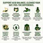 INDALO CHLOROLIFE ACID FLUSH TONIC