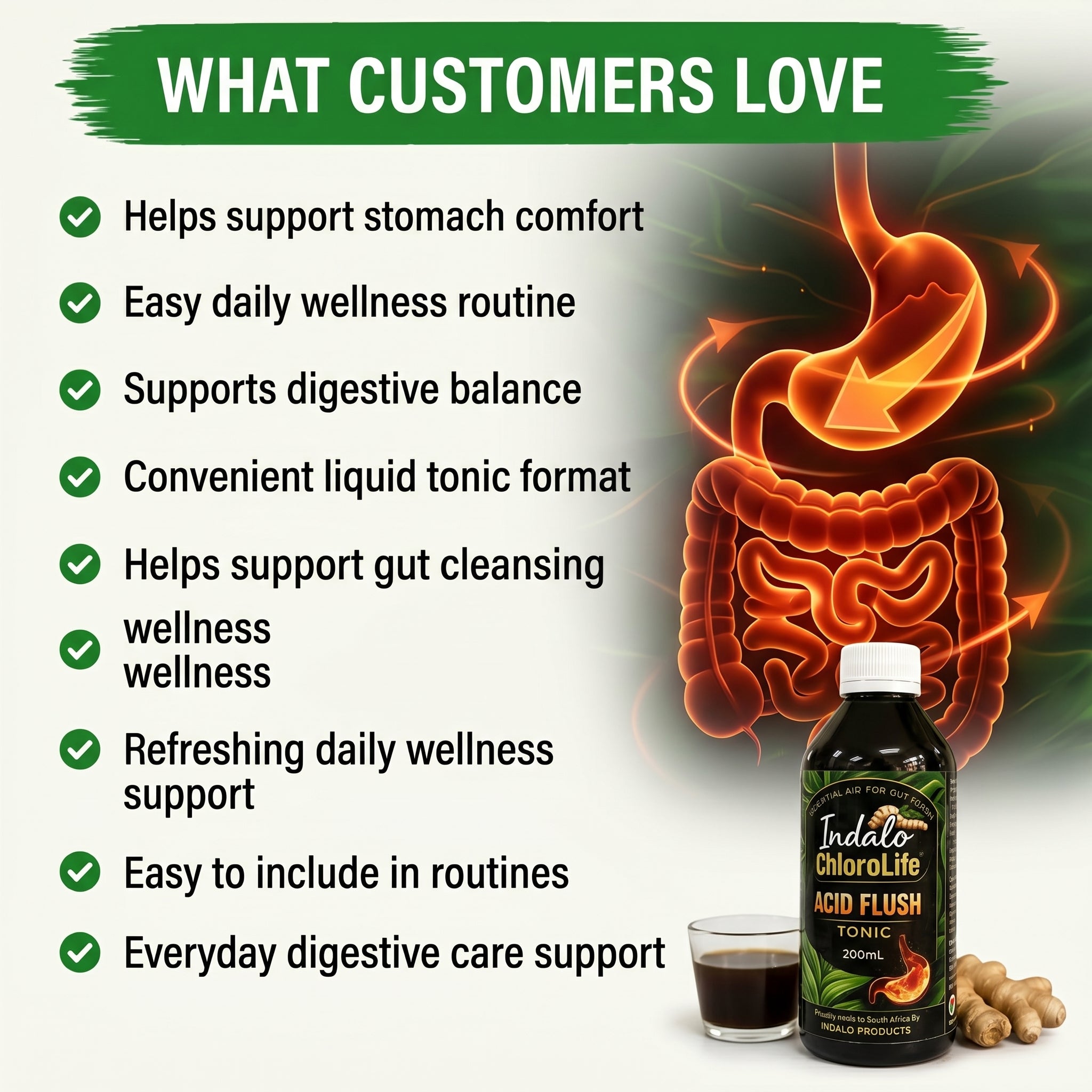 INDALO CHLOROLIFE ACID FLUSH TONIC