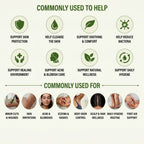 CHLORELLA ANTISEPTIC