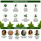 Chlorophyll Wellness Combo