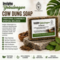 INSIPHO YOBULONGWE