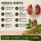 Organic Stone Breaker Powder