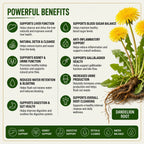 Organic Dandelion Powder