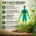 Smolo Body Cured System