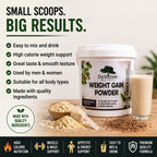 DYNACARE WEIGHT GAIN POWDER